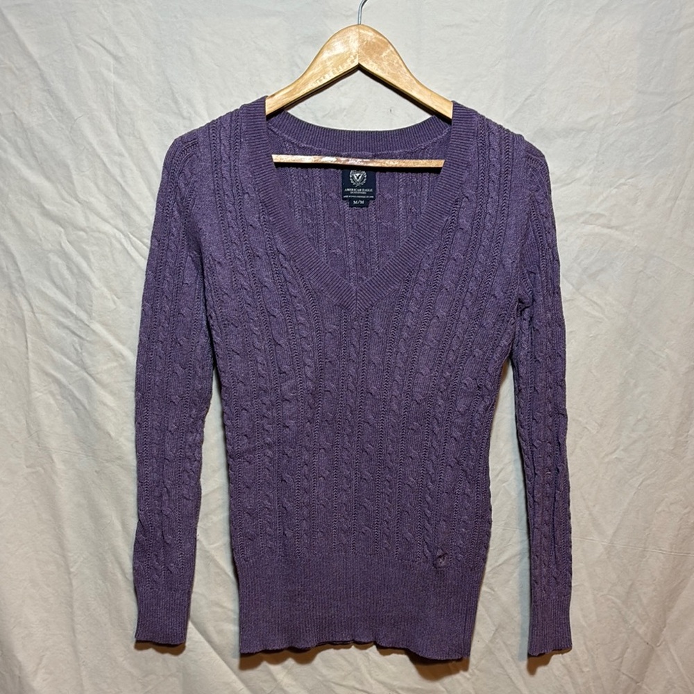 American Eagle Outfitters V-Neck Purple Sweater